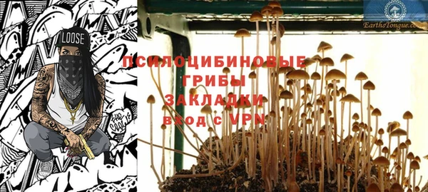 бутират Медногорск