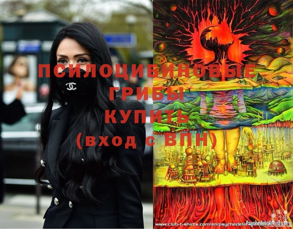 бутират Медногорск