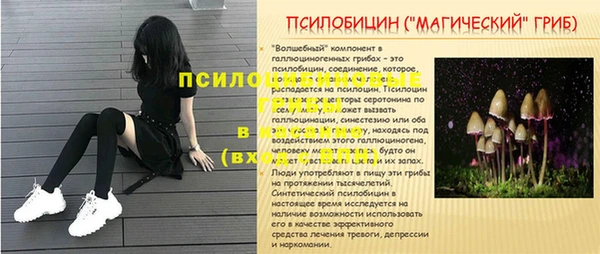 Альфа ПВП Мегион